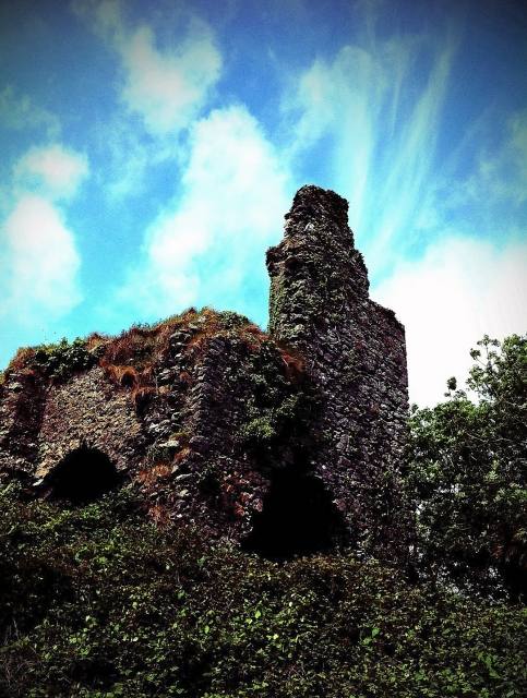 Carrigaline Castle