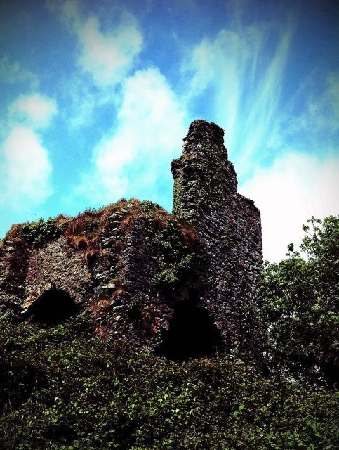 Carrigaline Castle