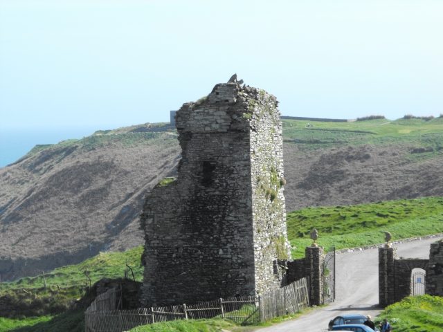 Downmacpatrick Castle