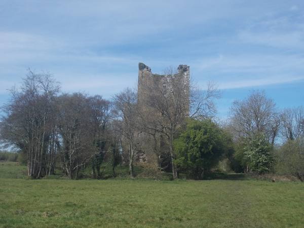 Kilcrea Castle