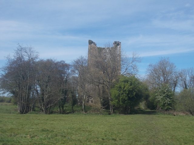 Kilcrea Castle