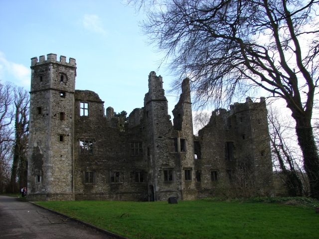 Old Mallow Castle
