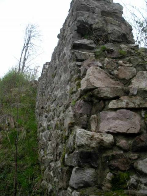 Burgruine Stallegg