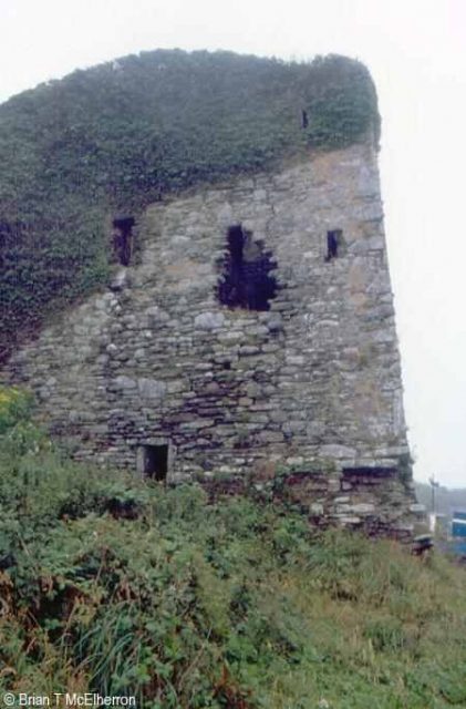Oldcourt Castle