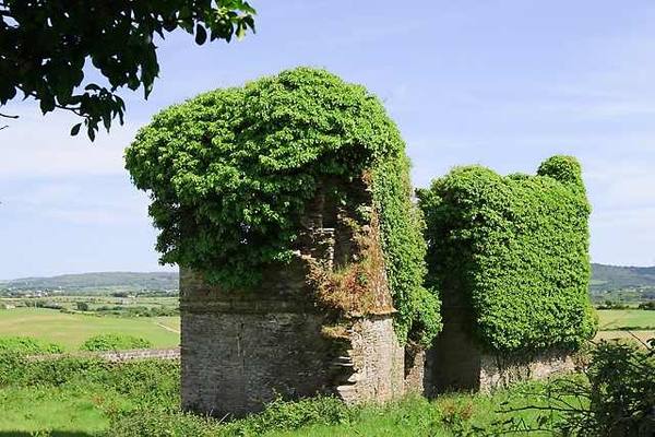 Aghadown Castle