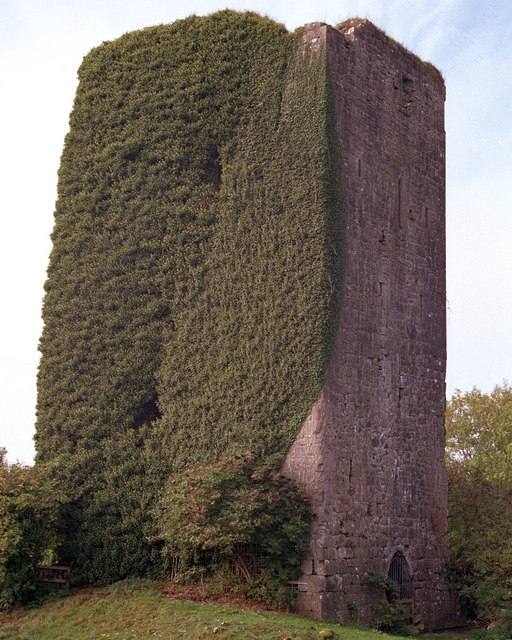Ballygriffy Castle