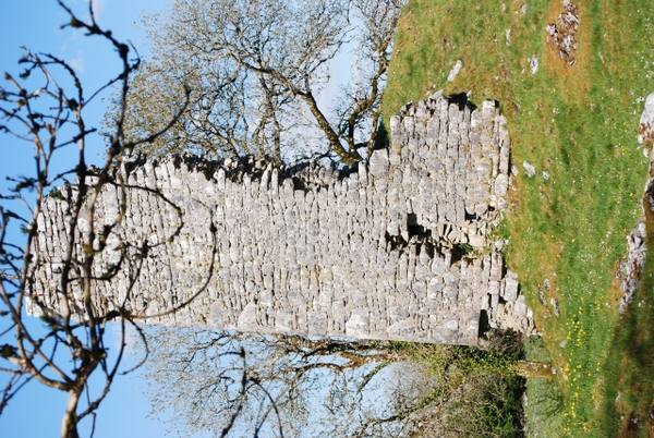 Castletown Castle