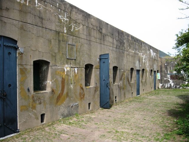 Defence Line of Amsterdam-Fort Krommeniedijk