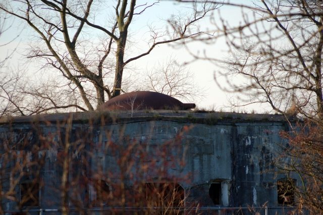 Defence Line of Amsterdam-Fort Velsen