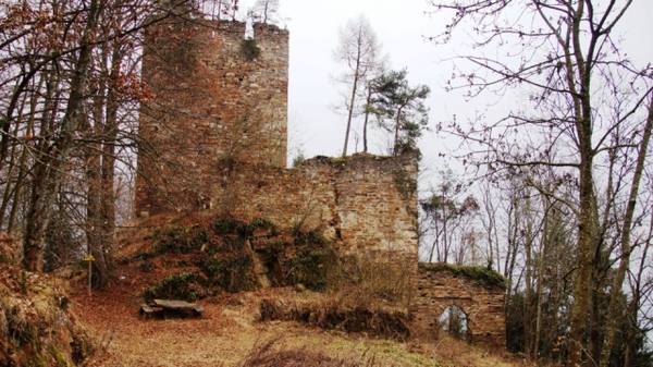 Hartneidstein Castle