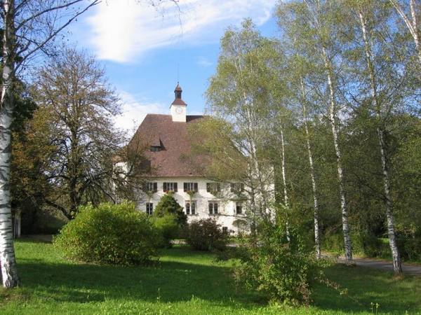 Wiesenau Castle