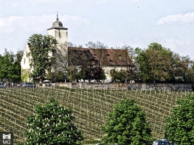 Hallburg Castle