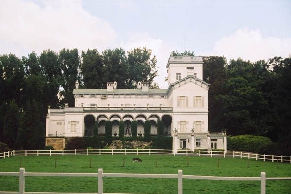 Rey of Calmeyn Castle