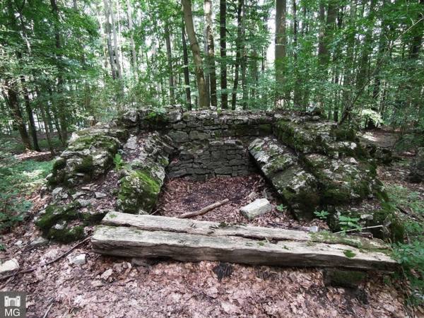 Burgruine Guttenberg