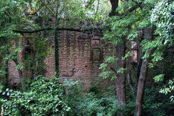 Burgruine Gödersheim