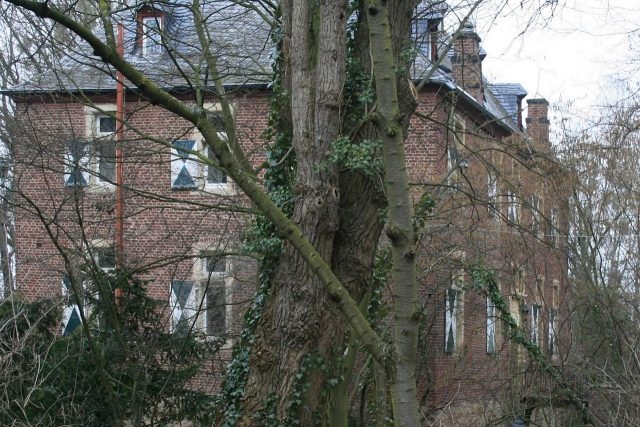 Hallenburg Castle