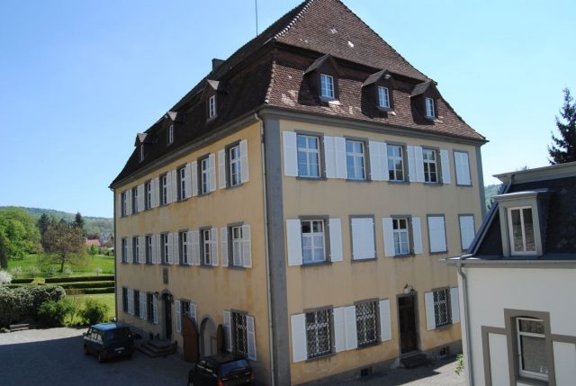 Schloss Steißlingen