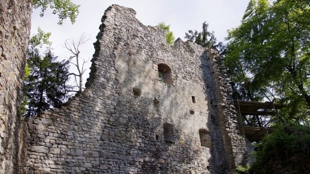 Alt-Ems Castle