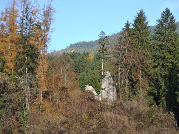 Schwarzenhorn Castle