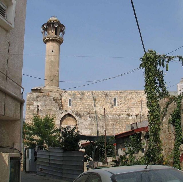 Crusader Castle Qalansawe (قلنسوة‎, קַלַנְסֻוָה)