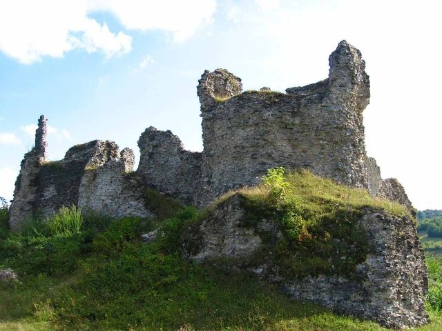 Bužim Castle
