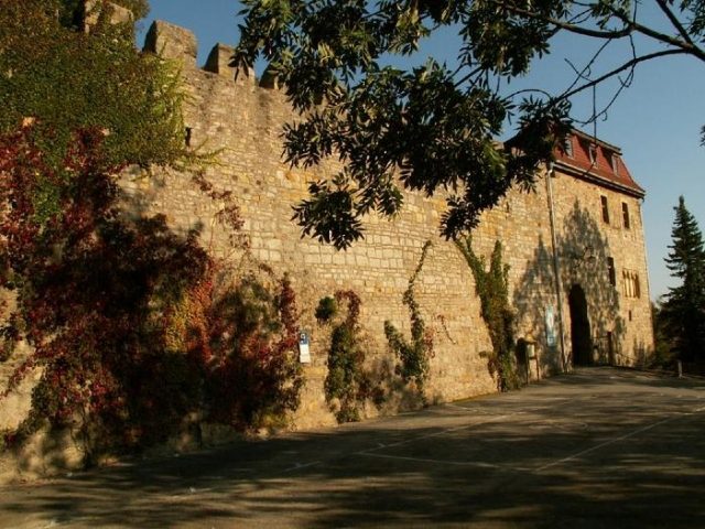 Creuzburg Castle