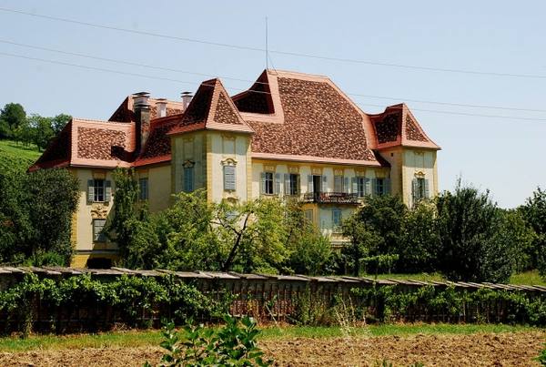 Wildbach Castle