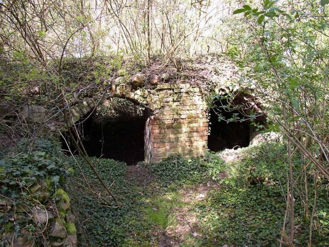 Burgruine Zolchow