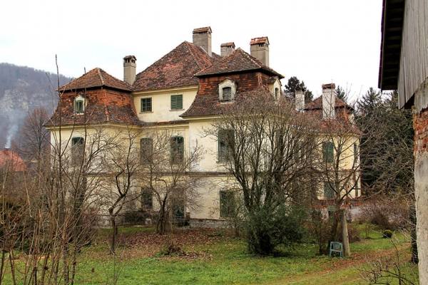 Thinnfeld Castle