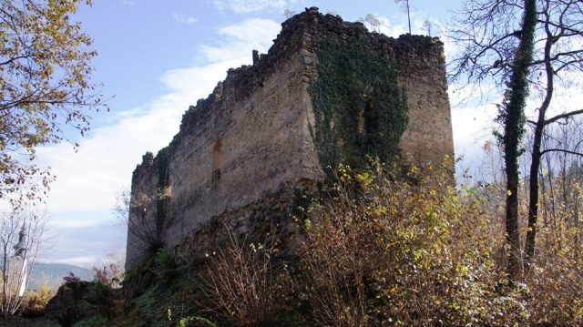 Rein Castle
