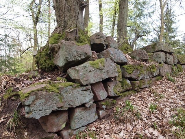 Burgruine Räuberschlösschen