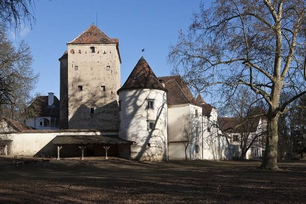 Feistritz Castle