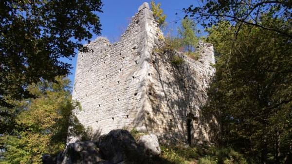 Alt-Wildon Castle