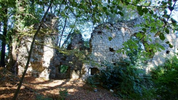 Neu-Wildon Castle