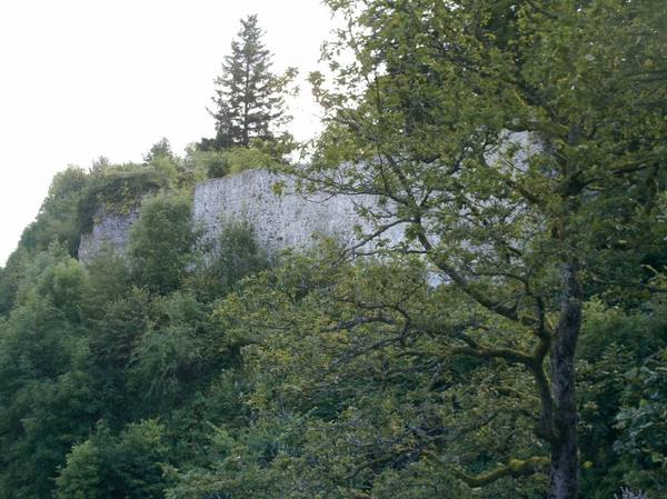 Château de Wildenstein
