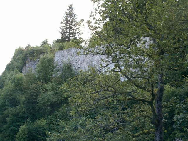 Château de Wildenstein
