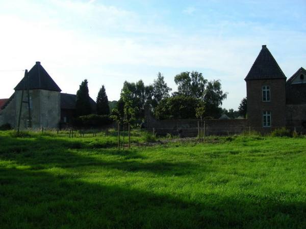 Burgruine Driesberg