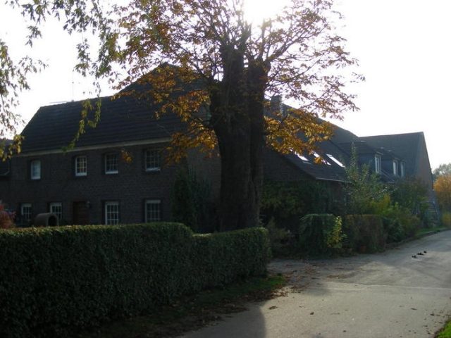 Adelssitz Junkershof