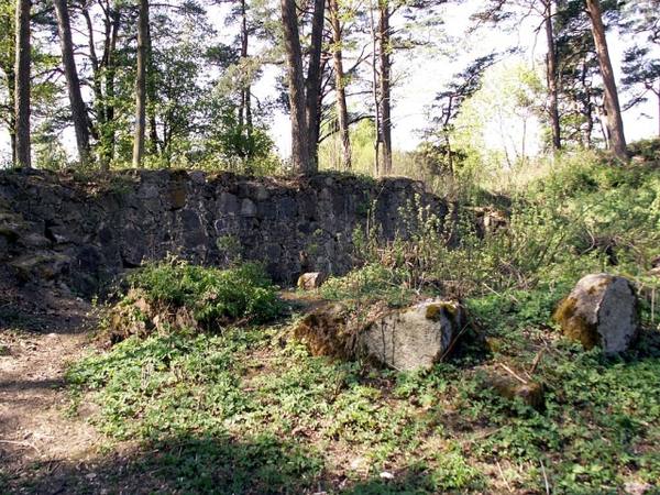 Eišiškės Castle
