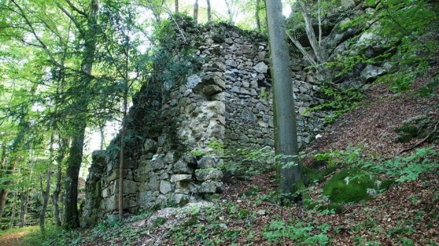 Burgruine Sarmingstein