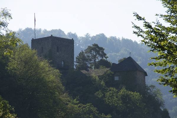 Burgruine Werfenstein
