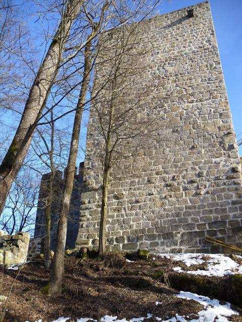 Burgruine Windegg