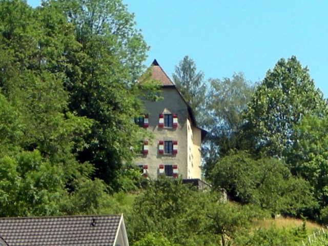 Amberg Castle