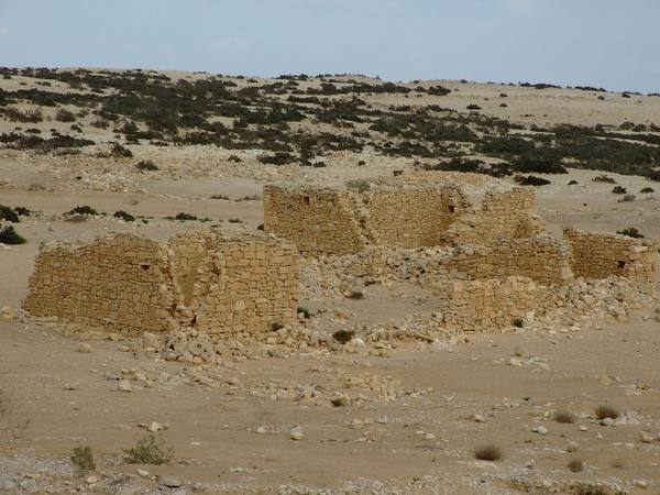 Ancient Town Elusa