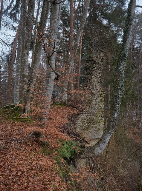 Burgruine Neusummerau