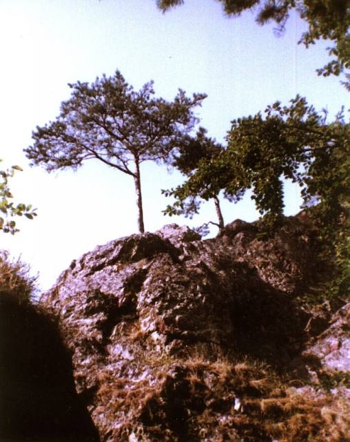 Neu-Blumberg Castle