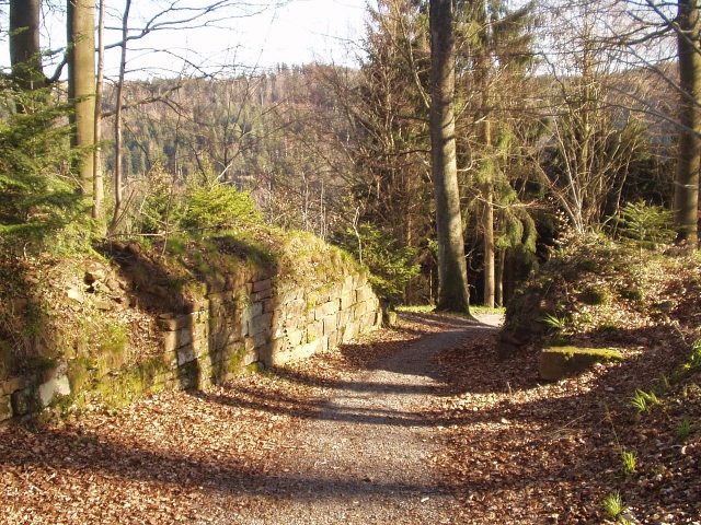 Burgruine Waldenburg