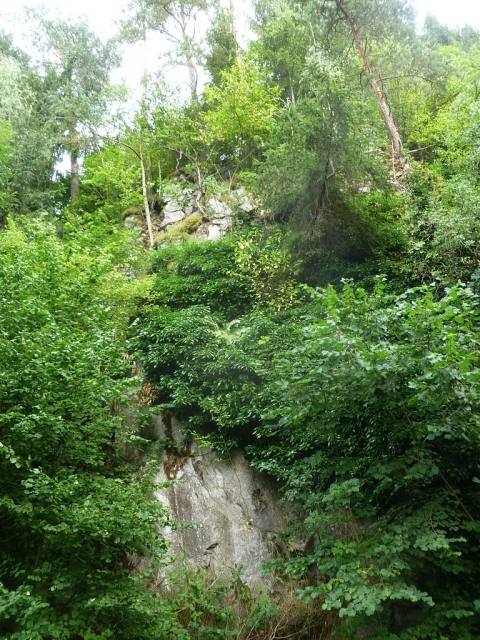 Schönberg Castle