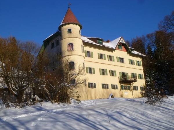 Brunnwald Castle