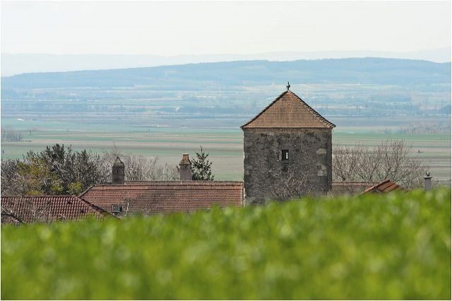 Hundsheim Tower